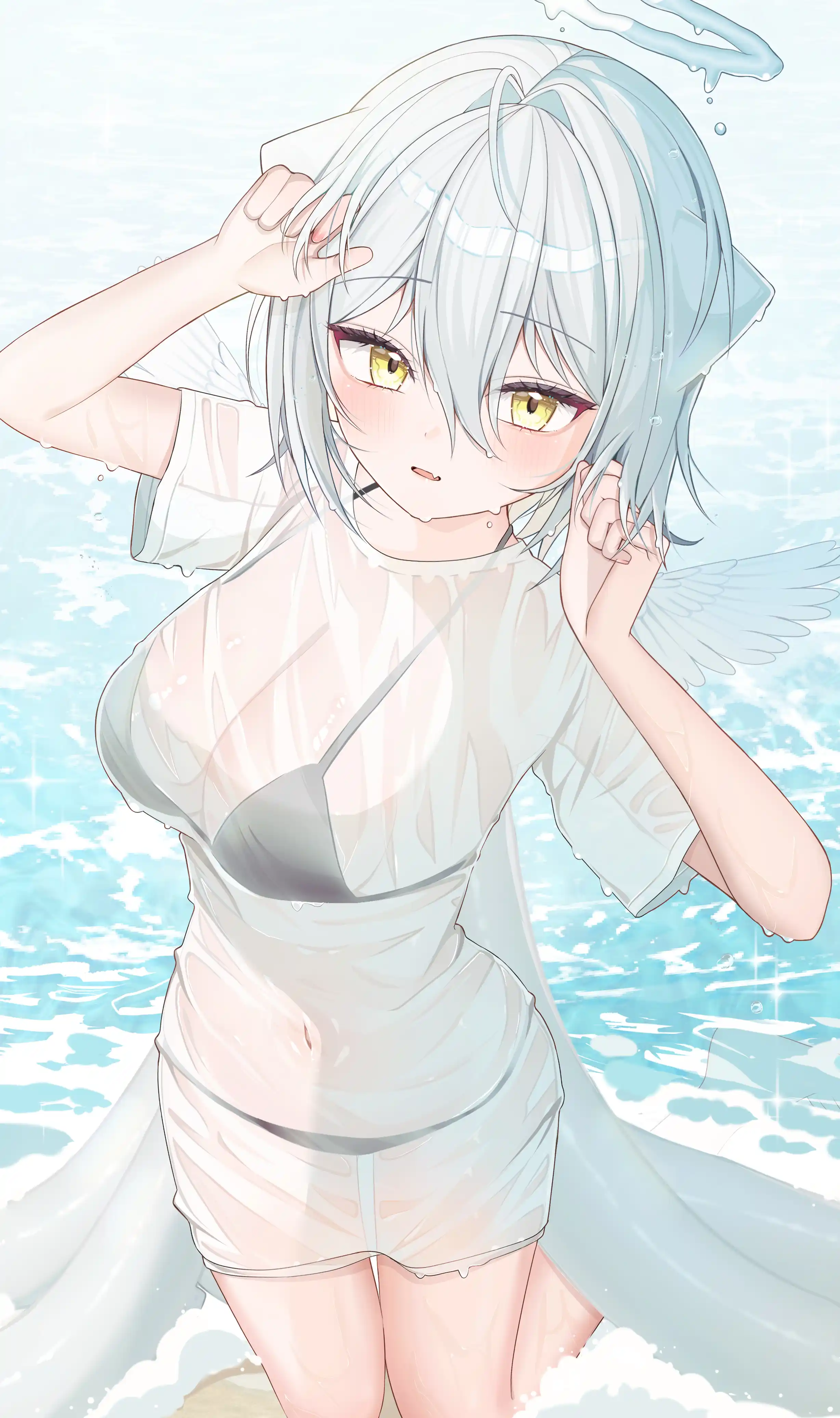 v-1093