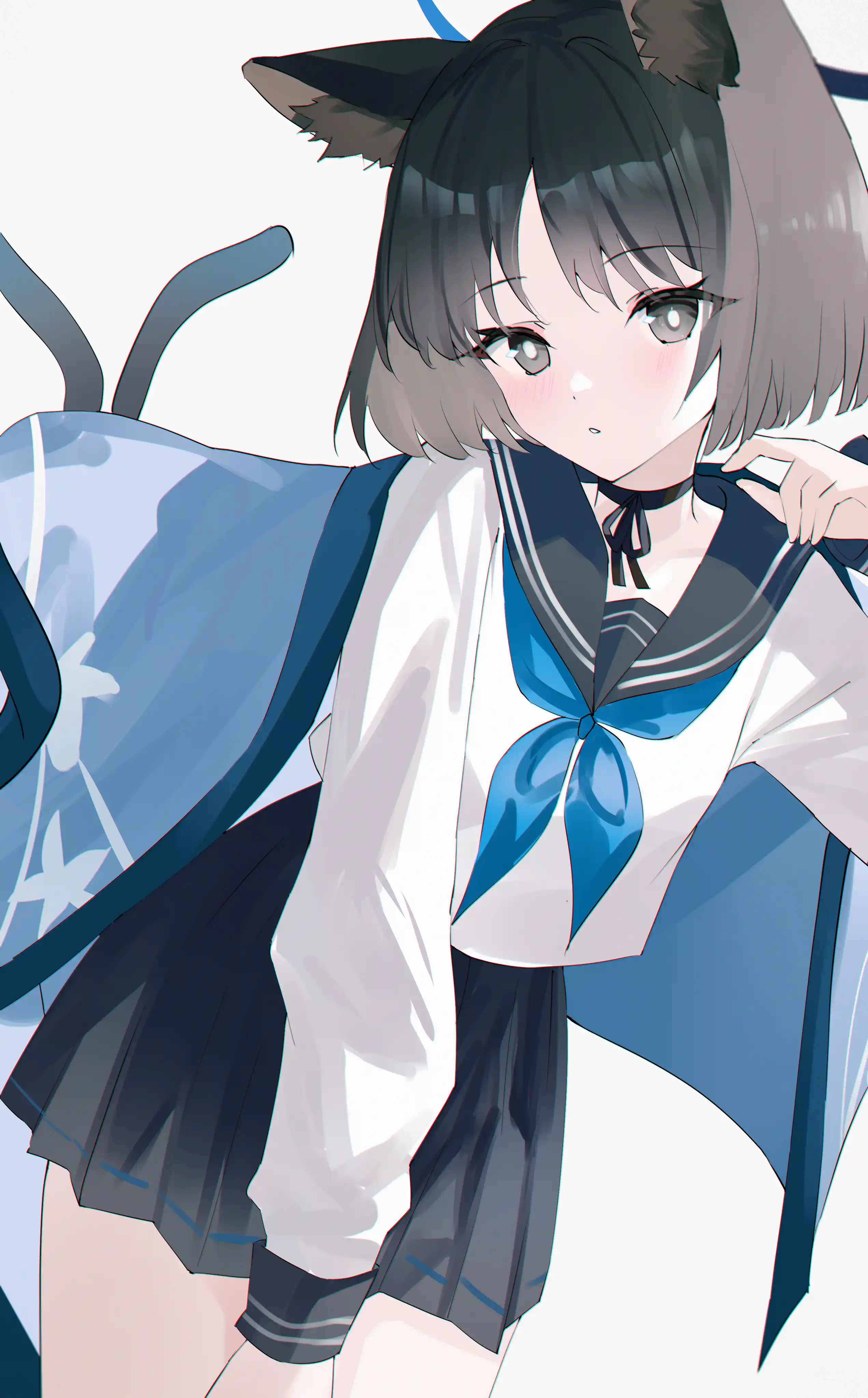 v-161