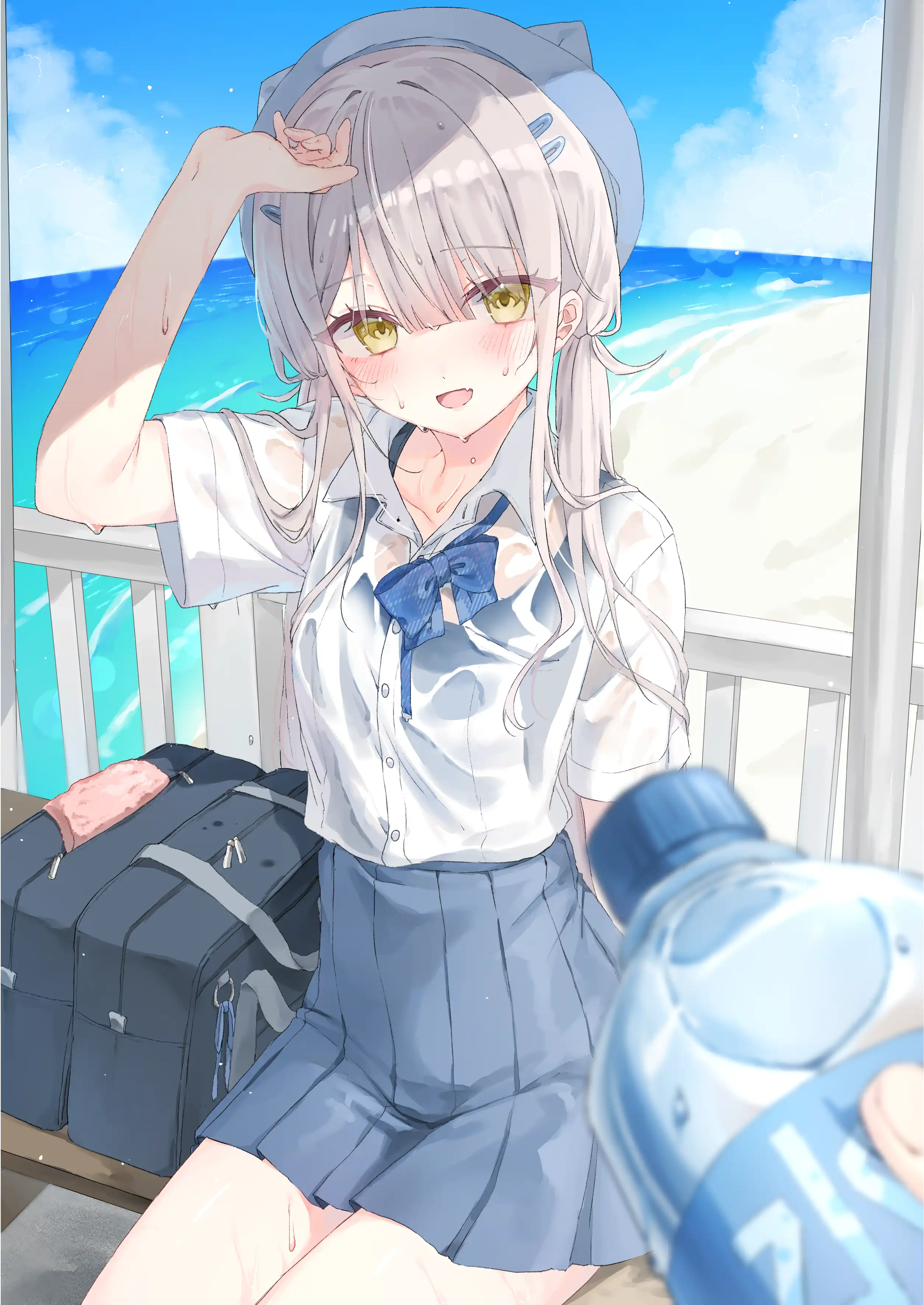 v-2433