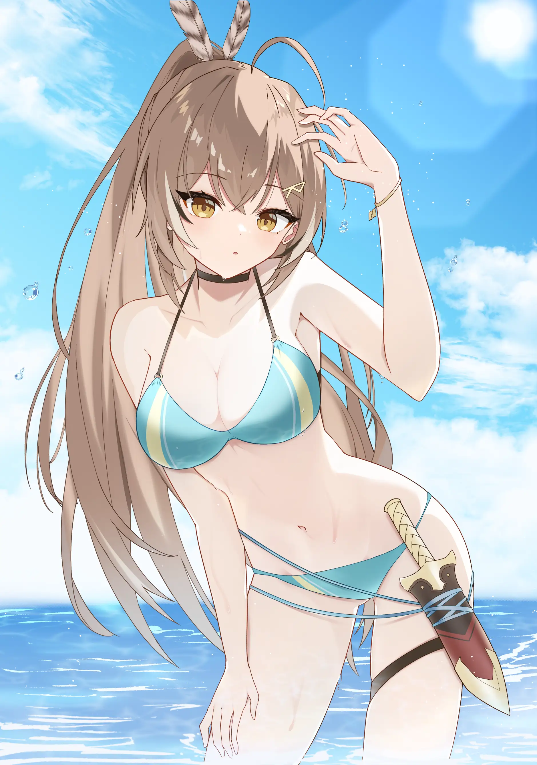 v-2446
