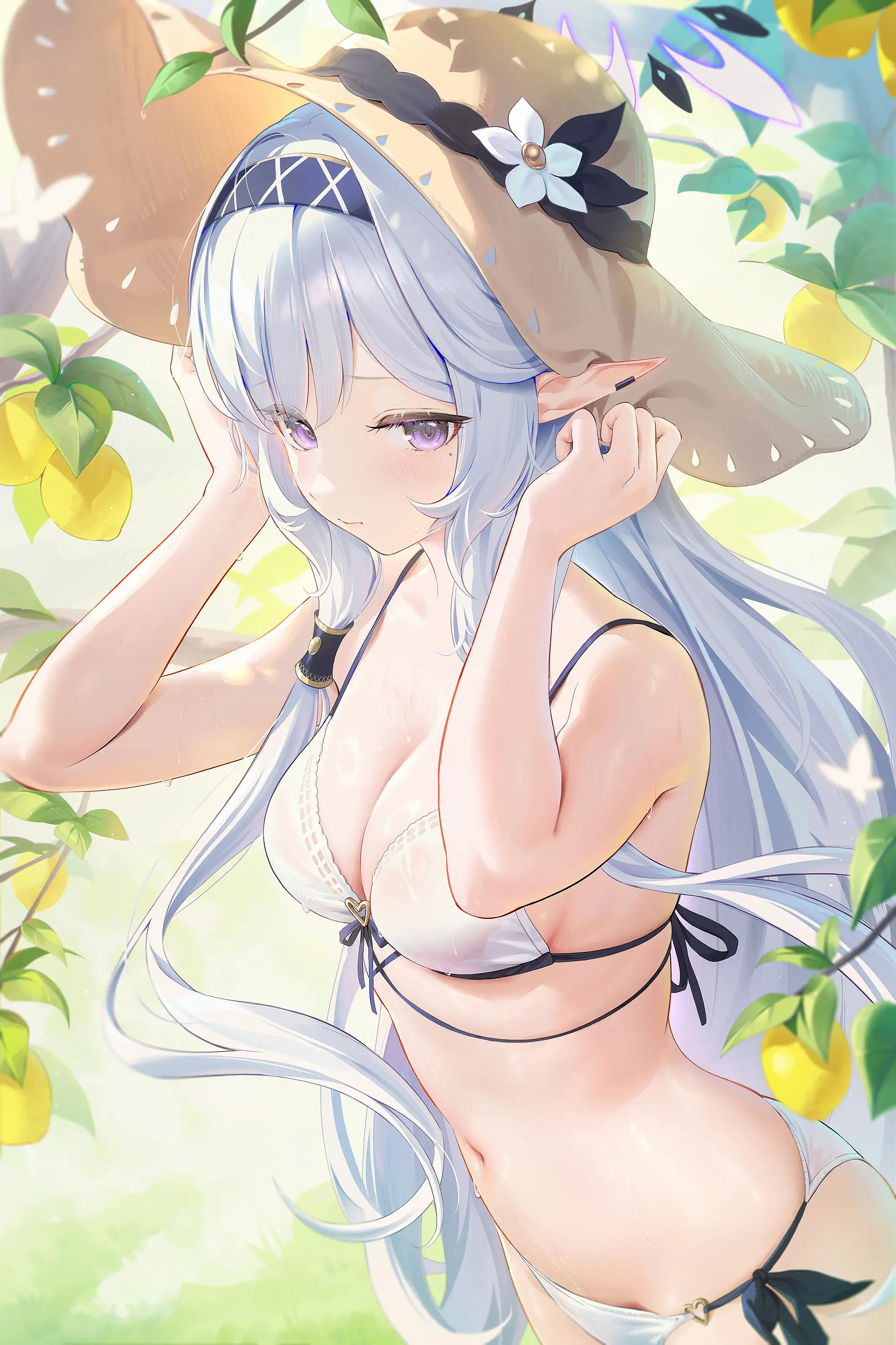 v-2538