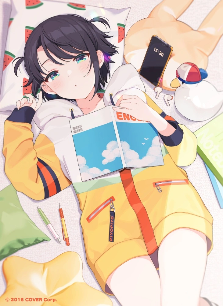 v-2636