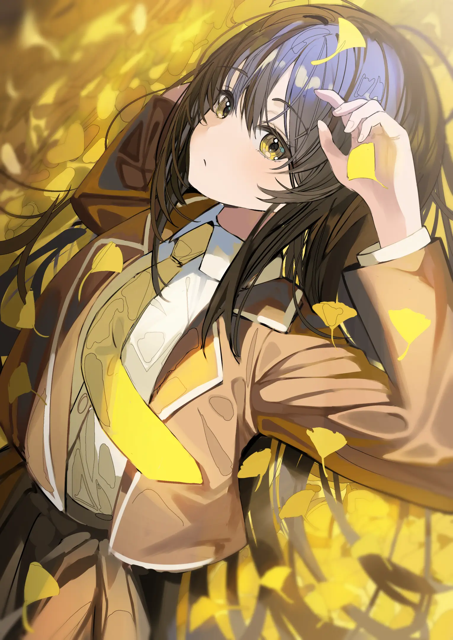 v-264