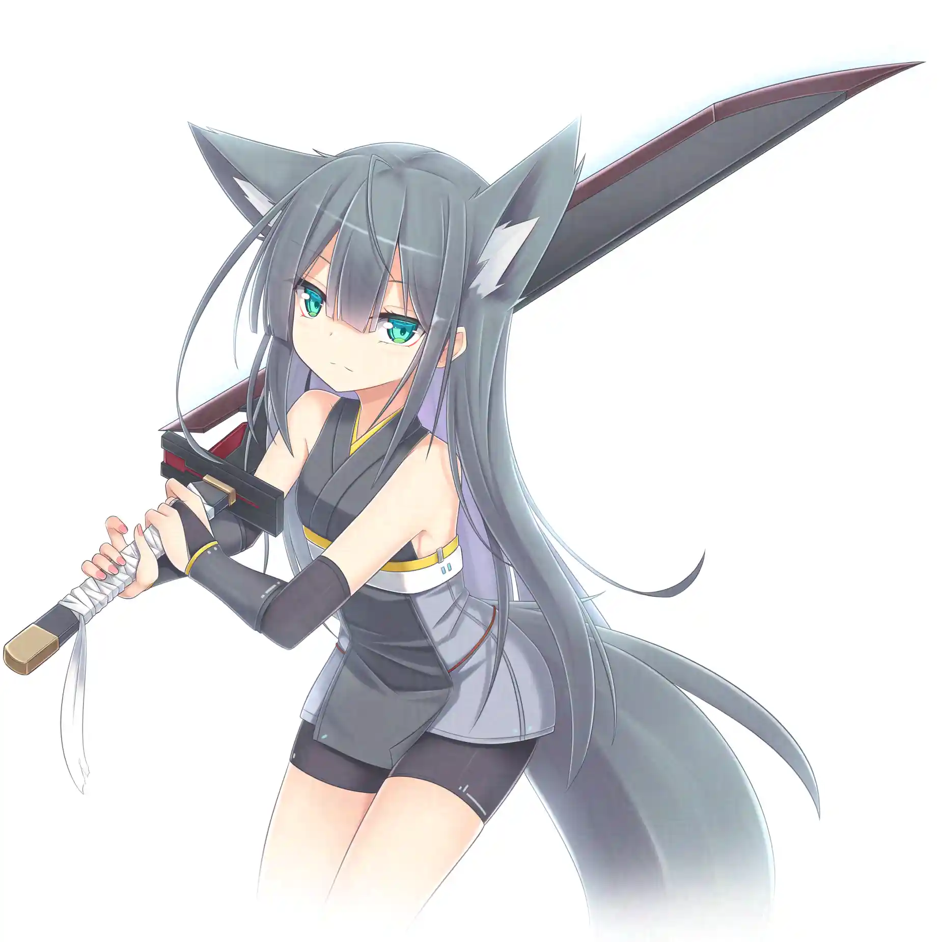 v-2647