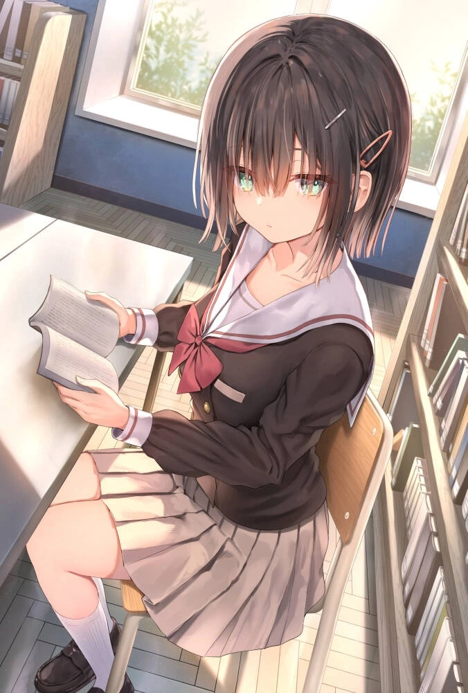 v-2735