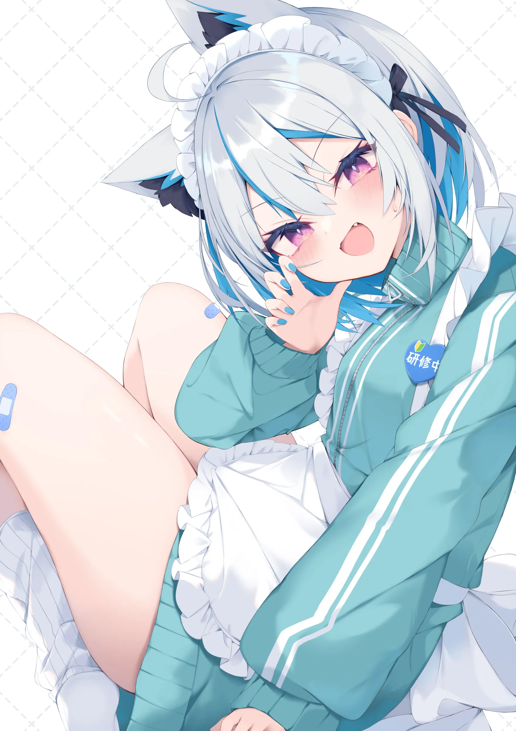 v-3095