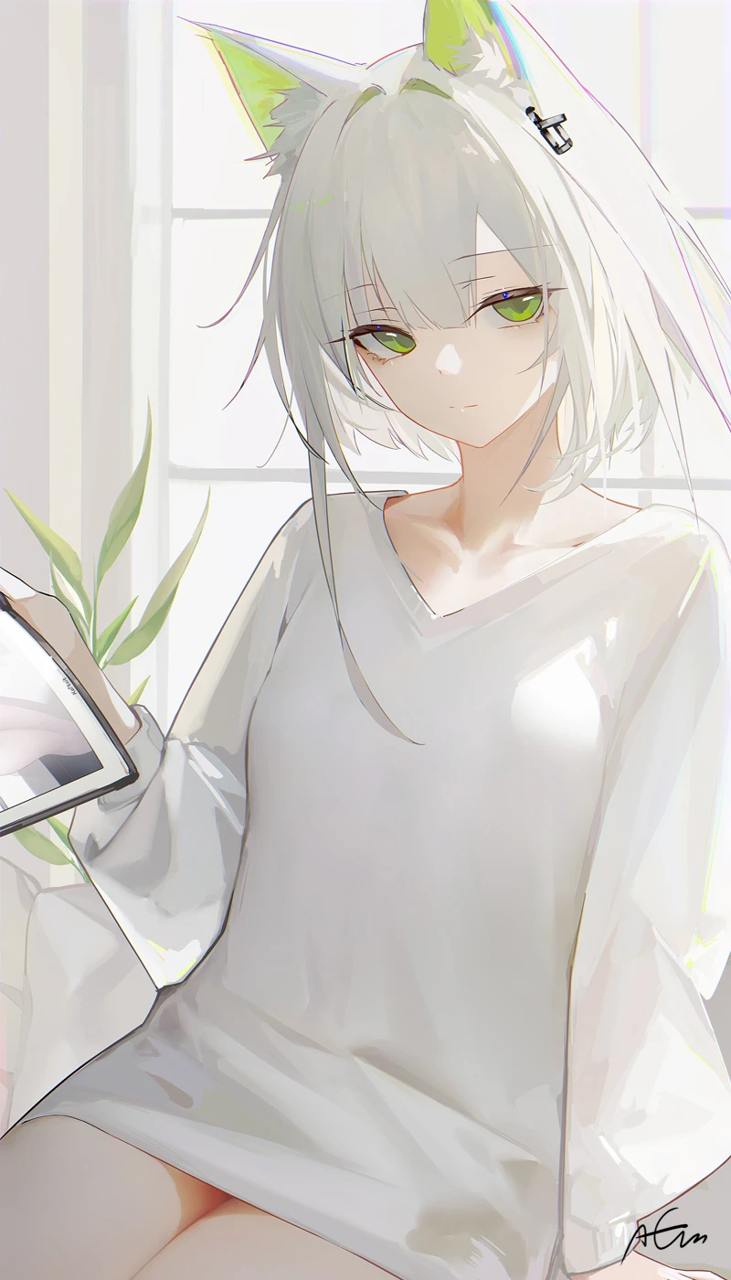 v-648